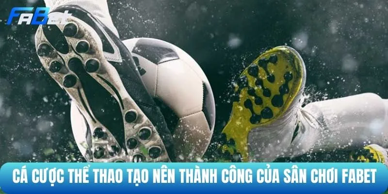 Cá cược thể thao tạo nên thành công của sân chơi FABET 
