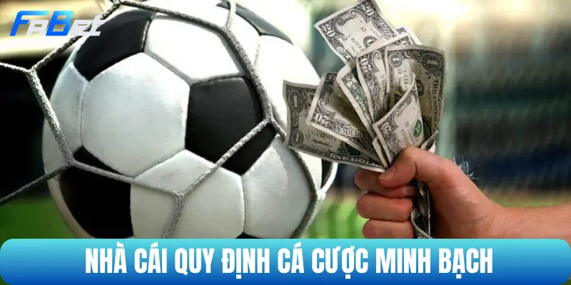Nhà cái quy định cá cược minh bạch