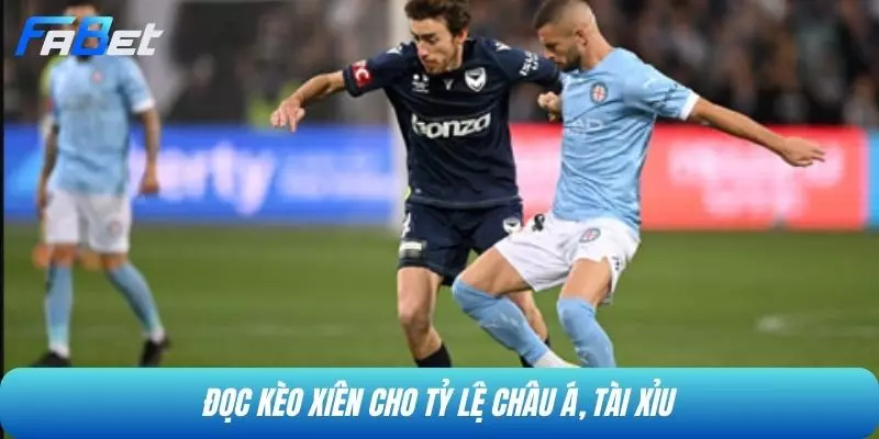 Đọc kèo xiên cho tỷ lệ châu Á, Tài Xỉu