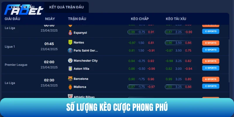 Tỷ lệ cược và lịch thi đấu chất lượng